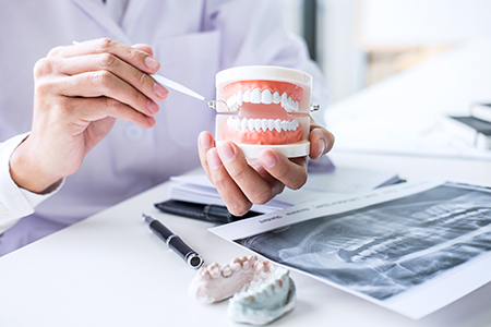 The image shows two different scenes on the left, a dental professional holds up a model mouth with teeth, examining it closely on the right, a hand holds a toothbrush and toothpaste, suggesting oral hygiene practices.